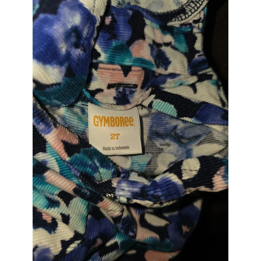 Gymboree butterfly garden floral cord dress size 2t‎